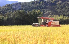顺昌县洋墩乡：种植户抢抓农时收割水稻