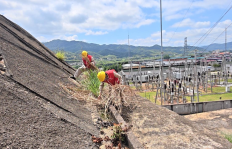 护航电网平安度汛&nbsp;国网建阳区供电公司全力防范台风“沙德尔”